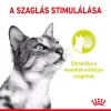 Royal Canin Sensory Smell Jelly Alutasakos Macskaeledel - 12x85 g