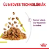 Royal Canin Sensory Smell Jelly Alutasakos Macskaeledel - 12x85 g