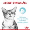 Royal Canin Sensory Feel Gravy Alutasakos Macskaeledel - 85 g