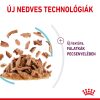Royal Canin Sensory Feel Gravy Alutasakos Macskaeledel - 85 g