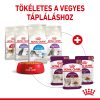 Royal Canin Sensory Feel Gravy Alutasakos Macskaeledel - 85 g
