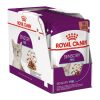 Royal Canin Sensory Feel Gravy Alutasakos Macskaeledel - 12x85 g