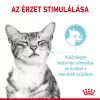 Royal Canin Sensory Feel Jelly Alutasakos Macskaeledel - 85 g