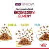 Royal Canin Sensory Feel Jelly Alutasakos Macskaeledel - 85 g