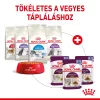 Royal Canin Sensory Feel Jelly Alutasakos Macskaeledel - 85 g