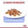 Royal Canin Indoor Sterilised Jelly Alutasakos Macskaeledel - 85 g