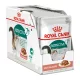 Royal Canin Instinctive Gravy (7+) Alutasakos Macskaeledel - 12x85 g