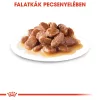 Royal Canin Instinctive Gravy (7+) Alutasakos Macskaeledel - 12x85 g