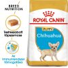 Royal Canin Chihuahua Puppy Száraz Kutyatáp - 500 g