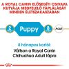 Royal Canin Chihuahua Puppy Száraz Kutyatáp - 500 g