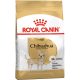 Royal Canin Chihuahua Adult Száraz Kutyatáp - 500 g