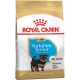 Royal Canin Yorkshire Terrier Puppy Száraz Kutyatáp - 500 g