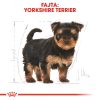 Royal Canin Yorkshire Terrier Puppy Száraz Kutyatáp - 500 g