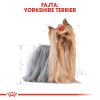 Royal Canin Yorkshire Terrier Adult Száraz Kutyatáp - 500 g