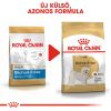 Royal Canin Bichon Frise Adult Száraz Kutyatáp - 500 g