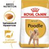 Royal Canin Poodle Adult Száraz Kutyatáp - 7,5 kg