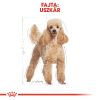 Royal Canin Poodle Adult Száraz Kutyatáp - 7,5 kg