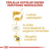 Royal Canin Maltese Adult Száraz Kutyatáp - 1,5 kg