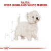 Royal Canin West Highland White Terrier Adult Száraz Kutyatáp - 3 kg