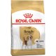 Royal Canin Beagle Adult Száraz Kutyatáp - 3 kg