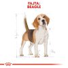Royal Canin Beagle Adult Száraz Kutyatáp - 12 kg