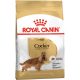 Royal Canin Cocker Adult Száraz Kutyatáp - 3 kg