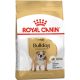 Royal Canin Bulldog Adult Száraz Kutyatáp - 12 kg