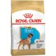 Royal Canin Boxer Puppy Száraz Kutyatáp - 12 kg