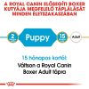 Royal Canin Boxer Puppy Száraz Kutyatáp - 12 kg