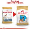 Royal Canin Boxer Puppy Száraz Kutyatáp - 12 kg