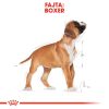 Royal Canin Boxer Puppy Száraz Kutyatáp - 12 kg