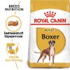 Royal Canin Boxer Adult Száraz Kutyatáp - 12 kg
