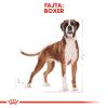 Royal Canin Boxer Adult Száraz Kutyatáp - 12 kg