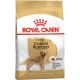 Royal Canin Golden Retriever Adult Száraz Kutyatáp - 12 kg