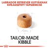 Royal Canin Labrador Puppy Száraz Kutyatáp - 3 kg