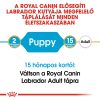 Royal Canin Labrador Puppy Száraz Kutyatáp - 3 kg