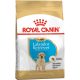 Royal Canin Labrador Puppy Száraz Kutyatáp - 12 kg