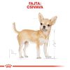 Royal Canin Chihuahua Adult Alutasakos Kutyaeledel - 85 g