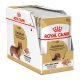 Royal Canin Dachshung Adult Alutasakos Kutyaeledel - 12x85 g