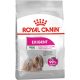 Royal Canin Mini Exigent Száraz Kutyatáp - 3 kg