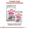 Royal Canin Mini Exigent Száraz Kutyatáp - 3 kg