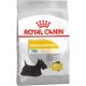 Royal Canin Mini Dermacomfort Száraz Kutyatáp - 8 kg