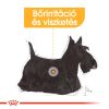 Royal Canin Mini Dermacomfort Száraz Kutyatáp - 8 kg