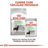 Royal Canin Mini Digestive Care Száraz Kutyatáp - 1 kg