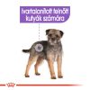 Royal Canin Mini Sterilised Száraz Kutyatáp - 1 kg