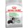 Royal Canin Medium Digestive Care Száraz Kutyatáp - 12 kg