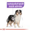 Royal Canin Medium Sterilised Száraz Kutyatáp - 3 kg