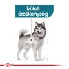 Royal Canin Maxi Joint Care Száraz Kutyatáp - 10 kg