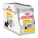 Royal Canin Dermacomfort Alutasakos Kutyaeledel - 12x85 g