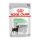 Royal Canin Digestive Care Alutasakos Kutyaeledel - 85 g